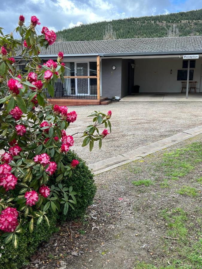 ברייט Willow Dene Holiday Apartments מראה חיצוני תמונה